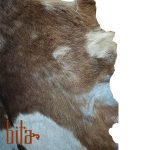 پوست بز دو رنگ